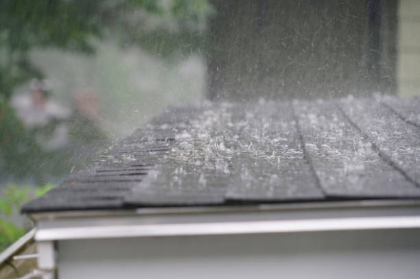 Best Roof Coating and Sealing  in Day Heights, OH